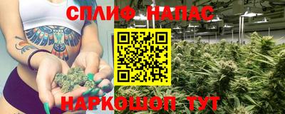 прущий лед Будённовск