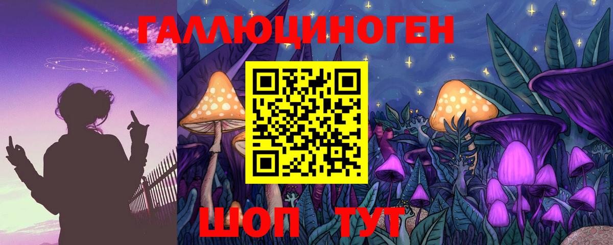 Псилоцибиновые грибы GOLDEN TEACHER Новомосковск
