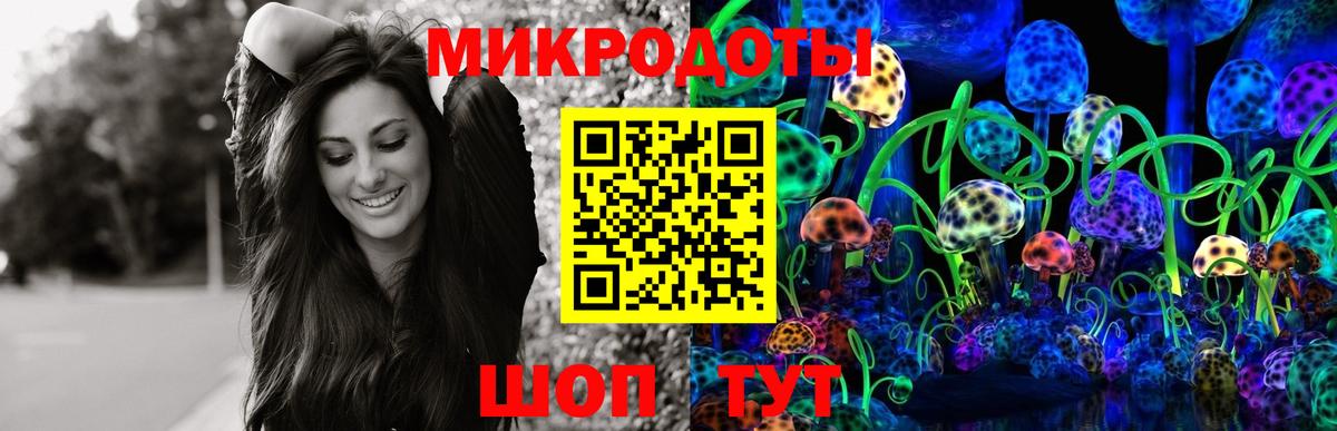 Новомосковск  Псилоцибиновые грибы мухоморы  Галлюциногенные грибы Psilocybe  Вход с VPN 